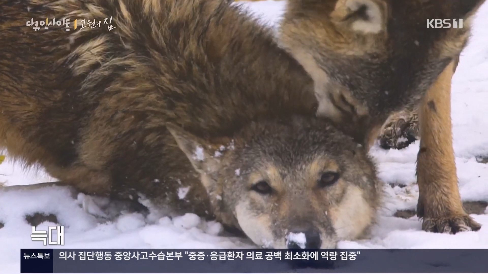 다큐 인사이트.E176.240328p.H264-F1RST.mp4_20240330_162426.661.jpg