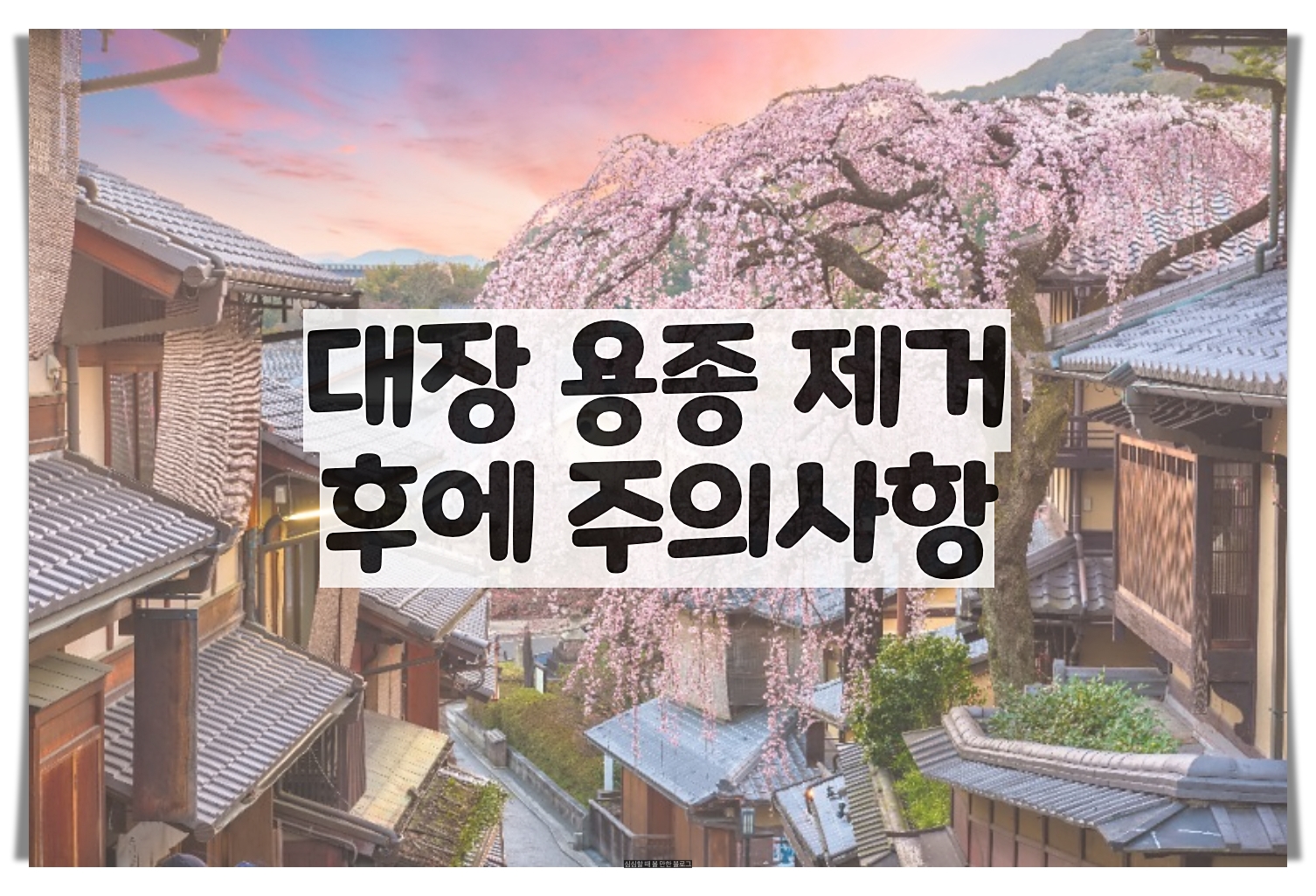  대장 용종제거후 식사 주의사항 - 요약정리