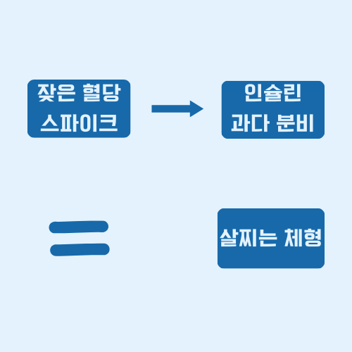 혈당 스파이크와 인슐린