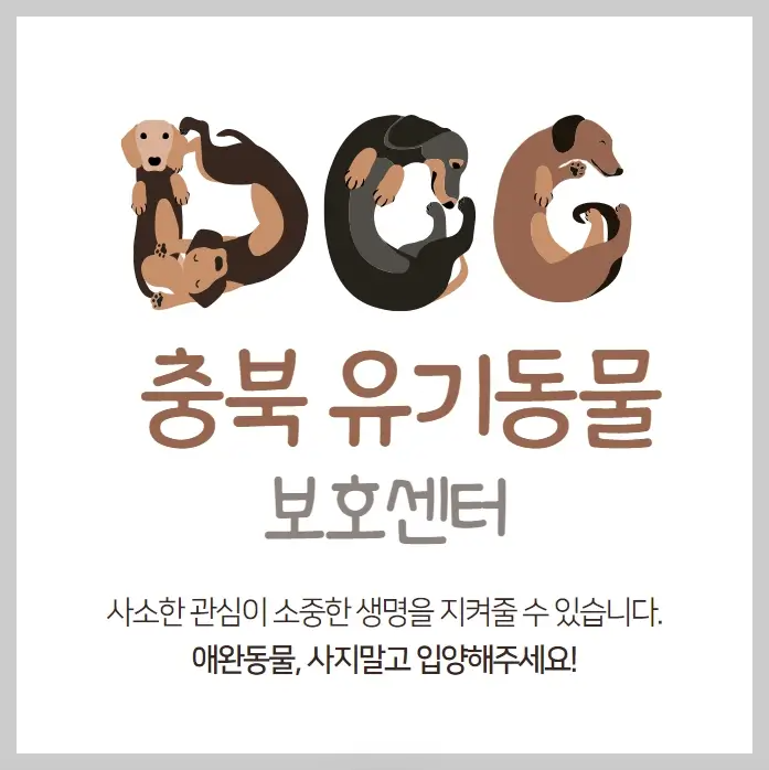 충북-유기동물보호센터-강아지-고양이-유기동물보호소