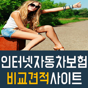  다이렉트까지 포함한 자동차보험종류 체크
