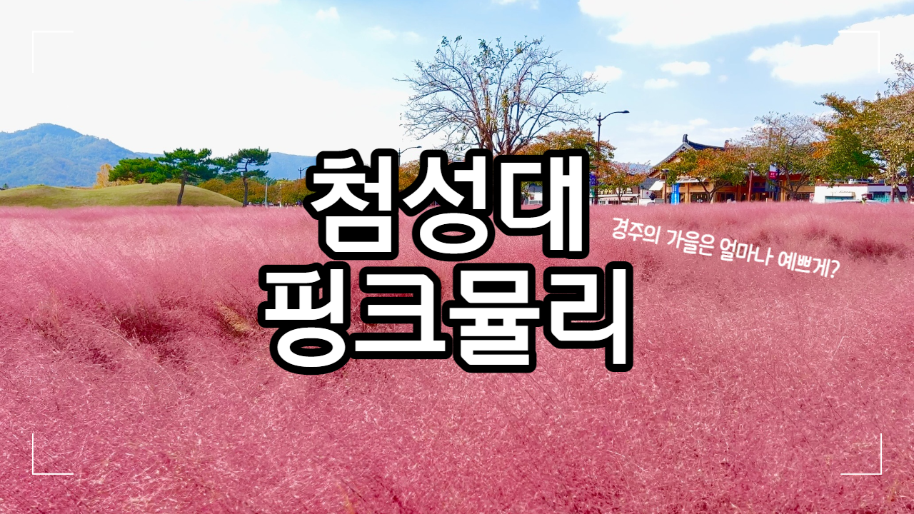  [경주] 첨성대 핑크뮬리 감성 가득한 1박 2일 가을 경주 여행