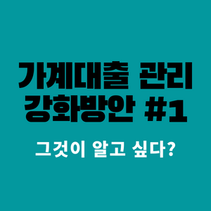 가계대출관리-강화방안