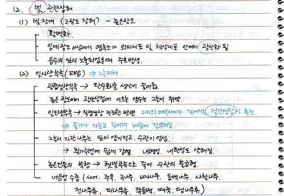  [비생물적피해론] 빛 관련장해