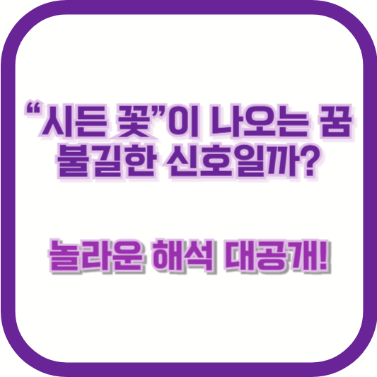 “시든 꽃”이 나오는 꿈, 불길한 신호일까? 놀라운 해석 대공개!