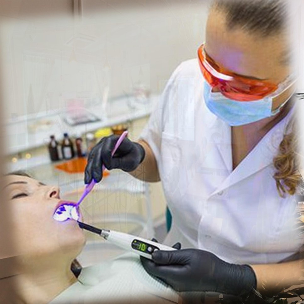 삼백초추출물관련 4