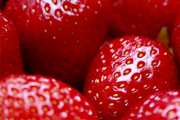 딸기효능 - 다이어트 효과2
