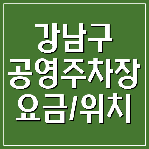  강남구 공영주차장 요금 및 주소 위치 알아보기