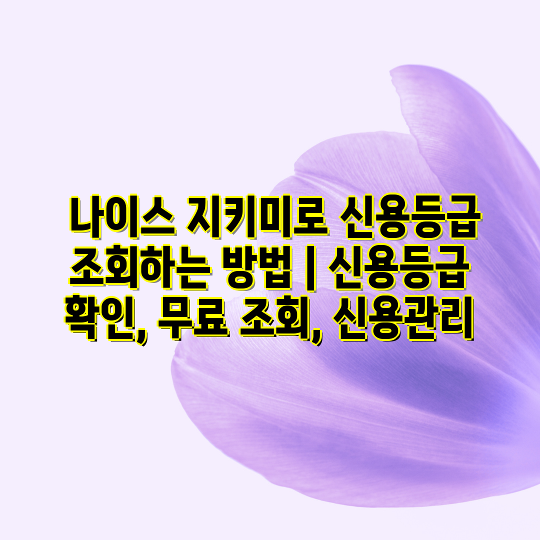  나이스 지키미로 신용등급 조회하는 방법  신용등급 확