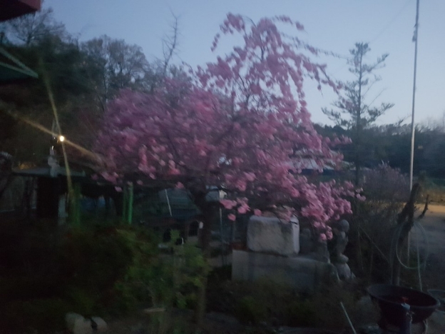 img.jpg