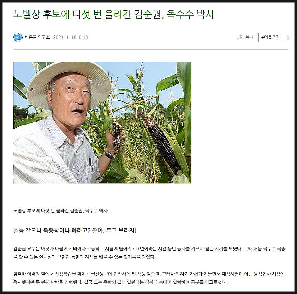 옥수수와 옥수수 가루 추억 // 손자에게 보내는 편지 (제375호)