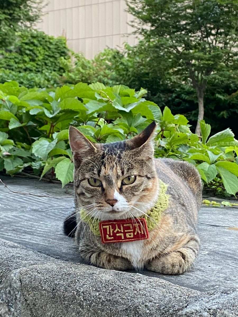  국립 현대미술관에 새로 생긴 규칙