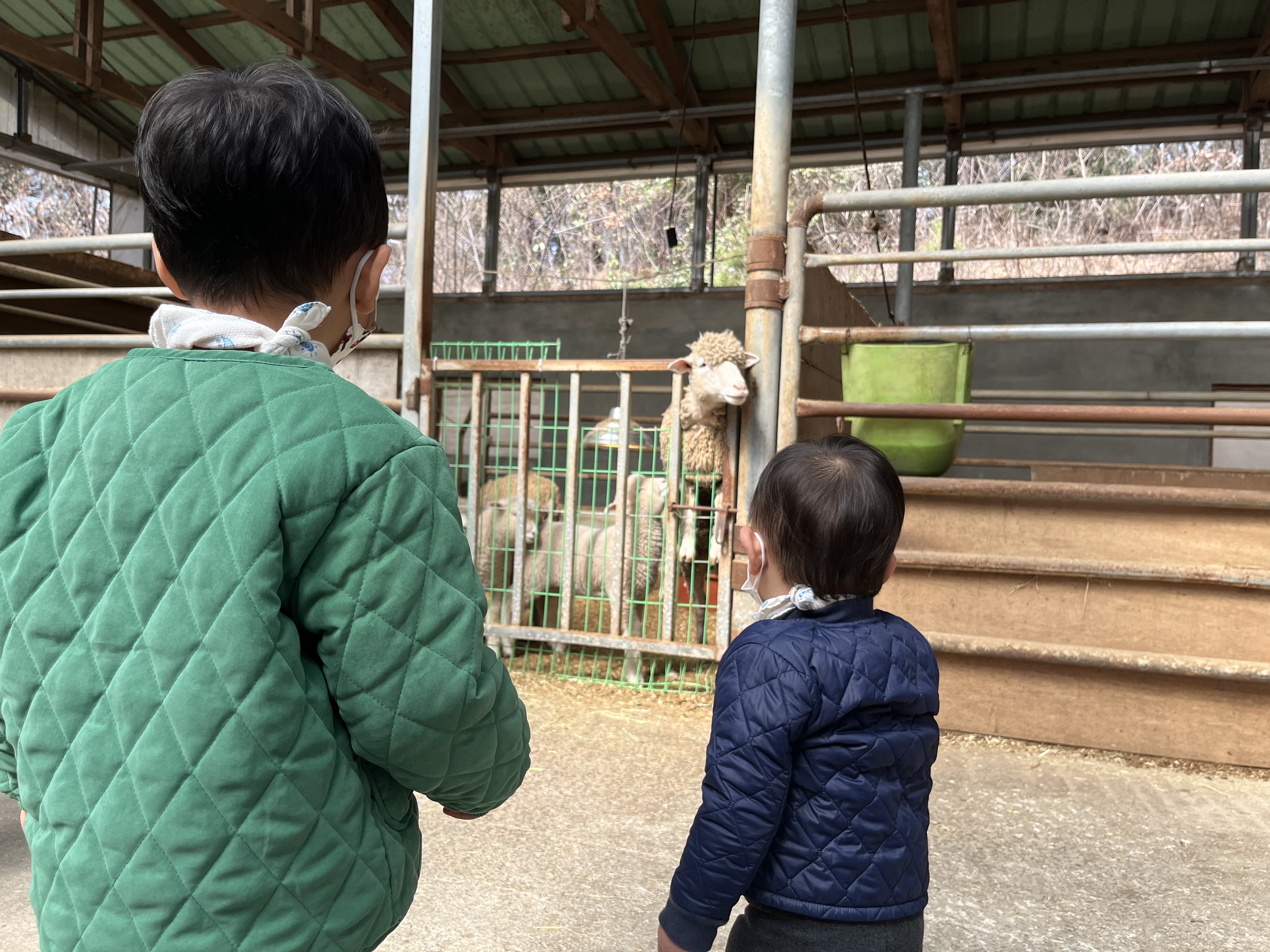 광주 동물 먹이 체험&amp;#44; 송산 목장
