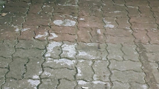 달력 읽기 정리 영어로 날짜 쓰기(요일, 월, 일), 3