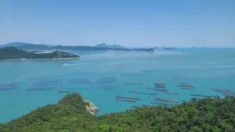 완도 청산도 배시간표 요금 배편 예약_18