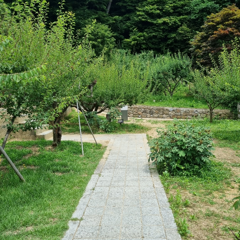 도산서당 가는길
