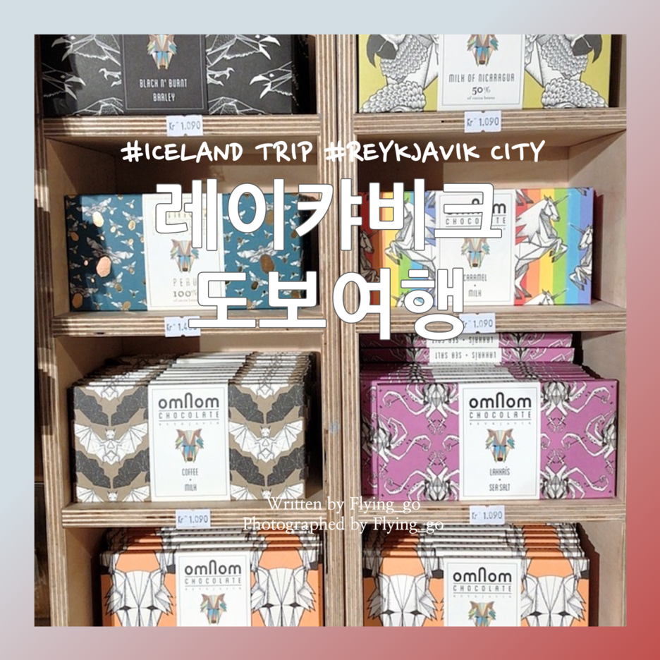  [겨울 아이슬란드 여행 DAY 3] 레이캬비크 도보 여행: 꽃청춘 핫도그 월드, 하르파 콘서트 홀, 할그림스키르캬 교회/오르간 공연, 레이캬비크 칩스(Reykjavik chips)