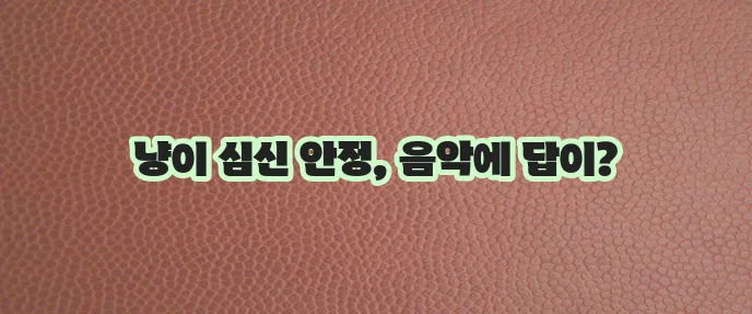 고양이가 좋아하는 음악 편안하고 안정적인 선곡이 중요하죠!
