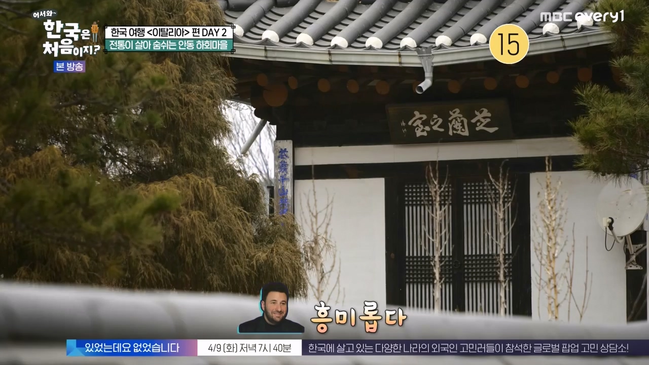 어서와 한국은 처음이지 시즌2.E308.240405p-NEXT.mp4_20240405_203426.650.jpg