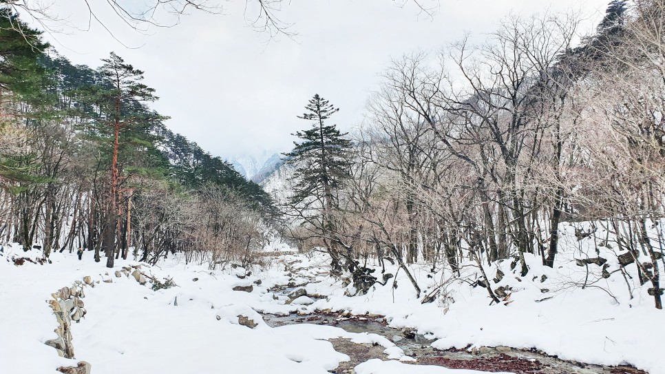 눈쌓인설악산, 13