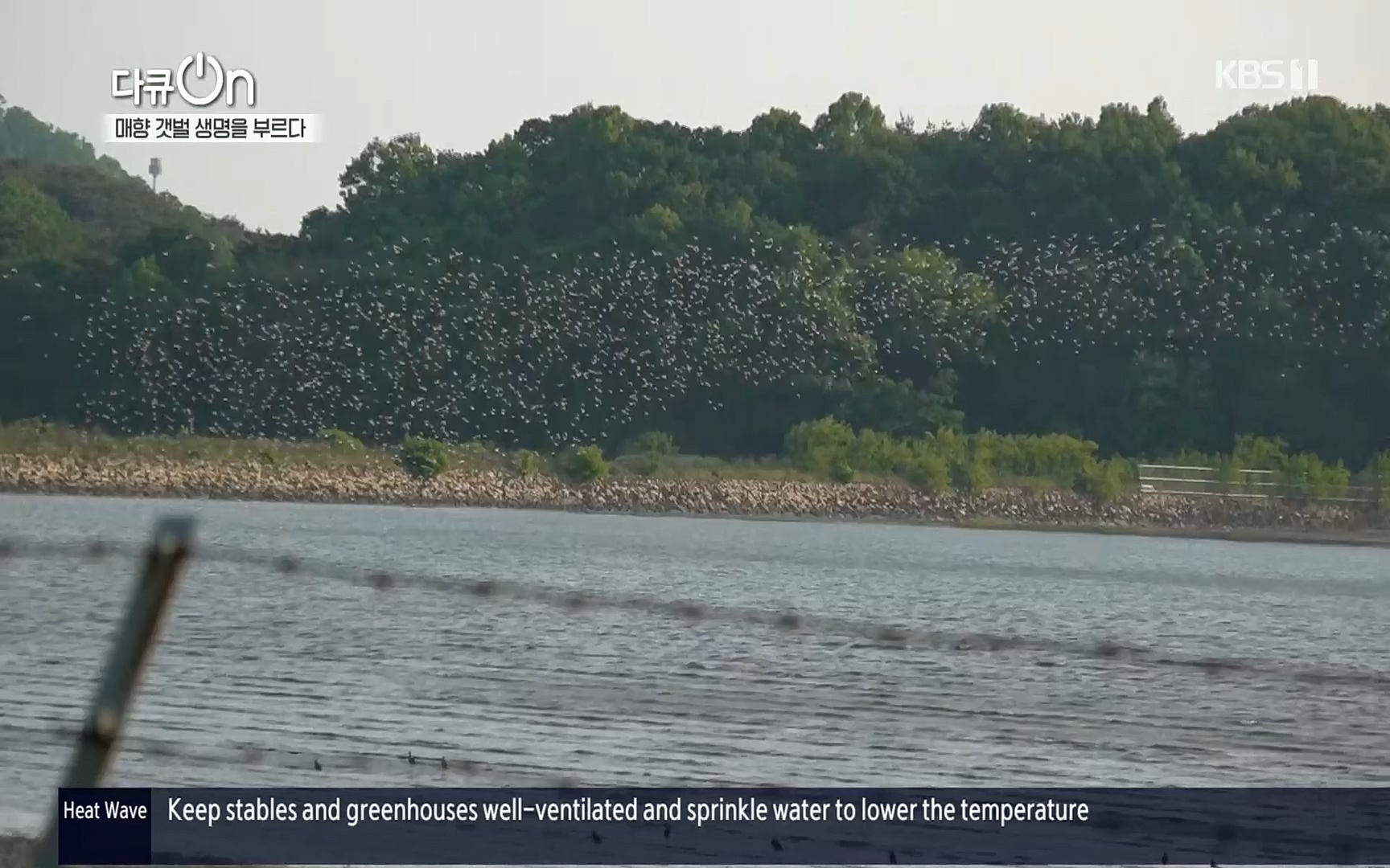 다큐 On.E151.220805p.H264-F1RST.mp4_20220806_193417.447.jpg