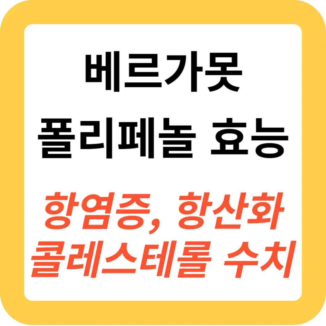 베르가못-폴리페놀-효능-추천