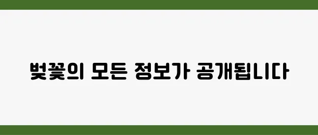 서울에서 열리는 벚꽃 축제의 날짜와 다양한 정보가 공개됩니다!