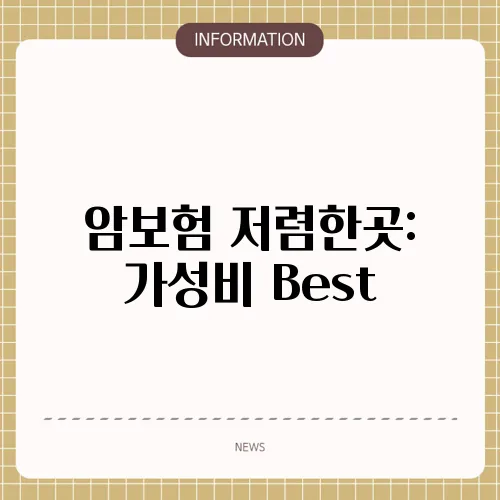 암보험 저렴한곳: 가성비 Best
