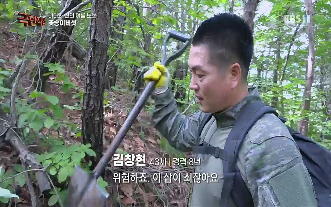 TV - 교육의 중심 EBS바다와 산의 여름 보물, 갯바위 미역 & 꽃송이버섯.mp4_20220828_145323.119.jpg