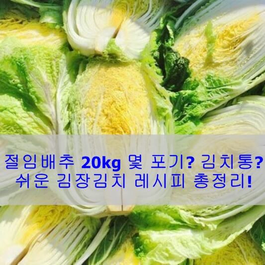 절임배추 20kg