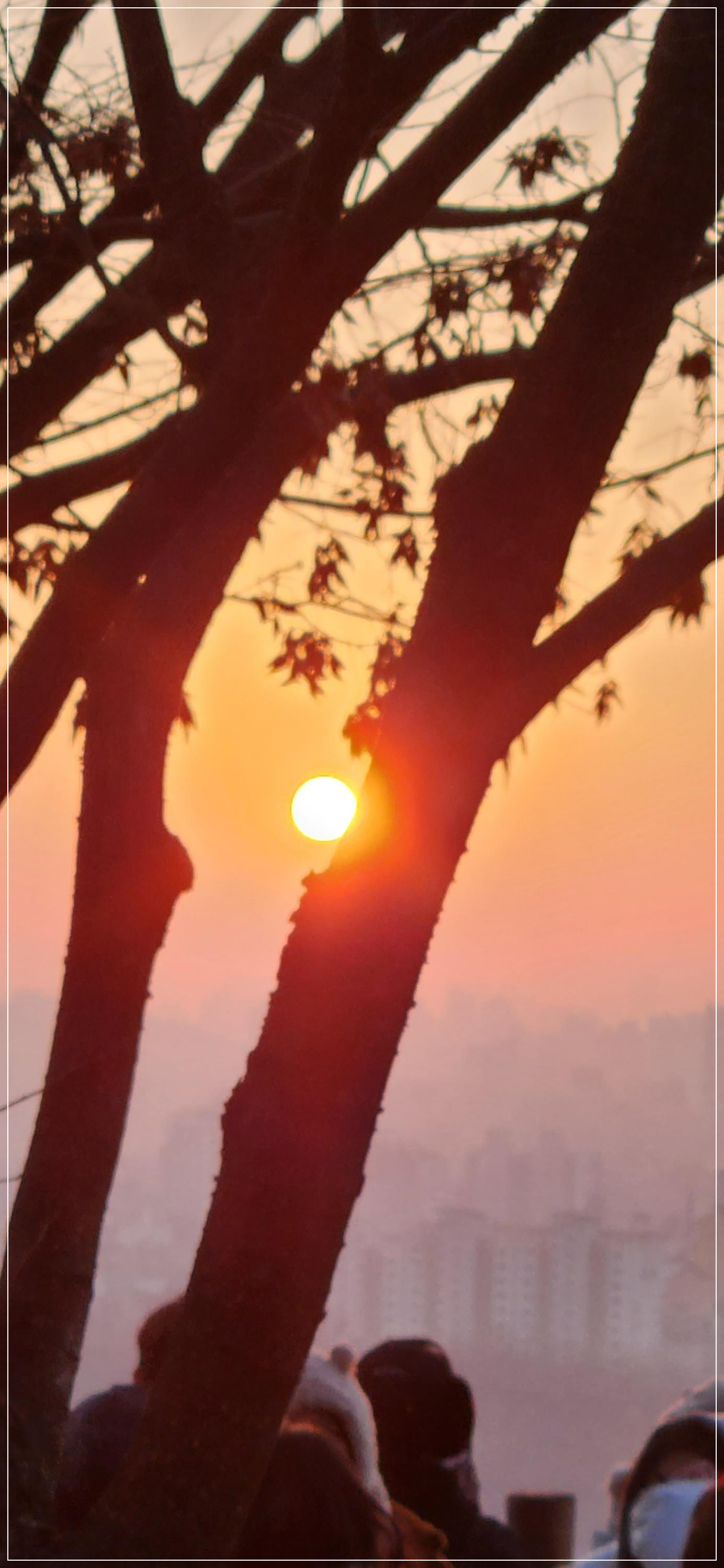 하늘공원 (마포) 새해 일출 해돋이 주차