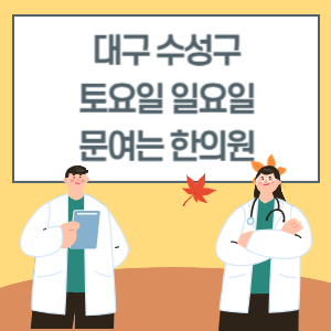 대구 수성구 토요일 일요일 한의원 진료 병원 리스트