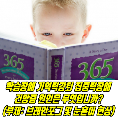  브레인포그 및 눈혼미 현상 (학습장애|기억력감퇴|집중력장애|건망증 원인은)