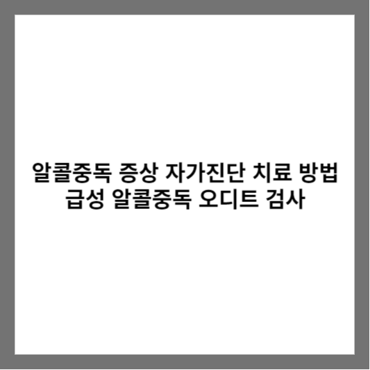 알콜중독 증상 자가진단 치료 방법 급성 알콜중독 오디트 검사