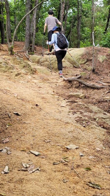 등산길