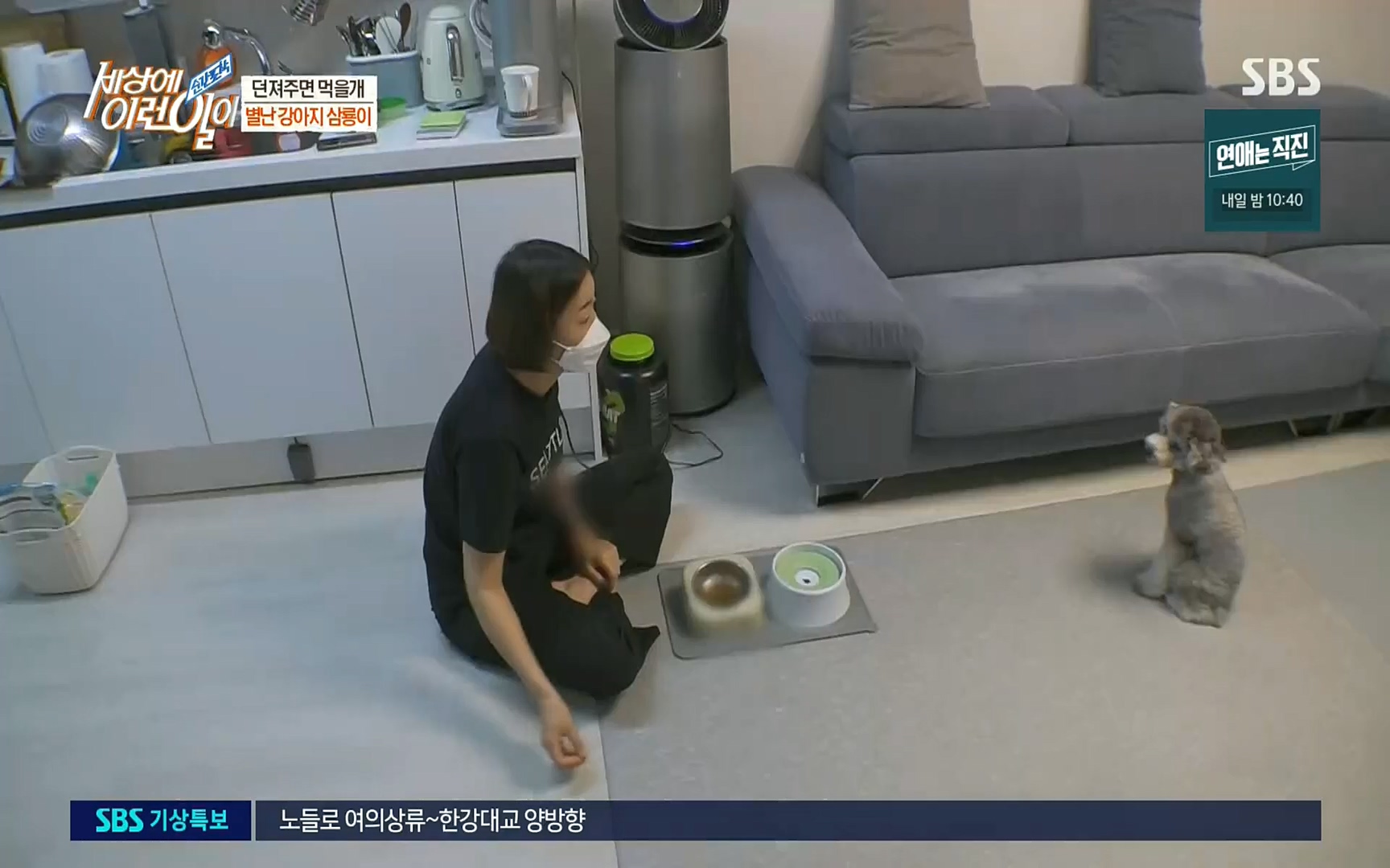 순간포착 세상에 이런일이.E1192.220809p.H264-F1RST.mp4_20220810_203614.139.jpg