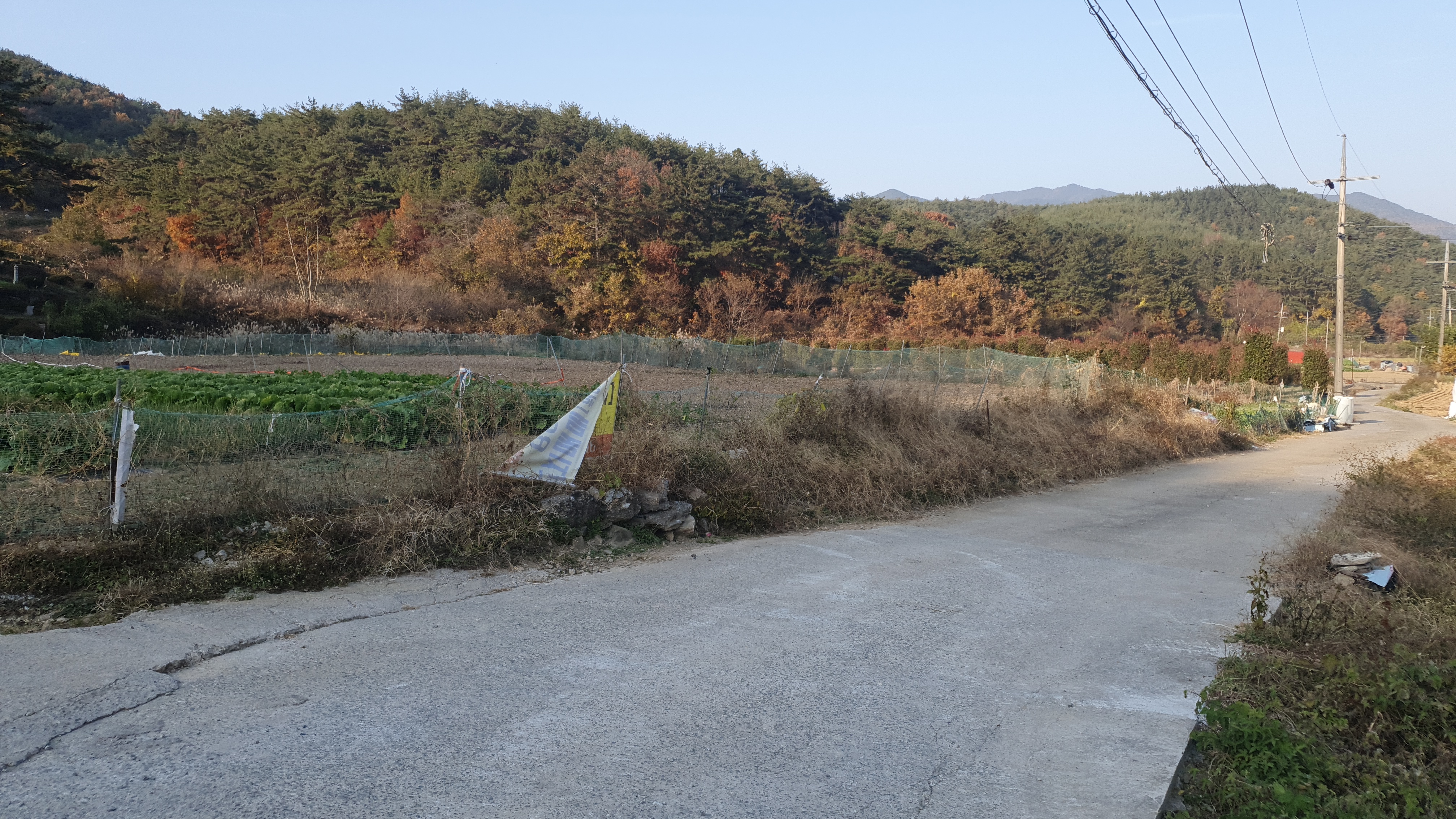  (땅나라 402번) 경남 창원시 경남대학교에서 20분거리, 진전면 소재,  조용한 시골마을 안쪽 최적의 장소 전원주택지 매매 / 문의 055)253-6609