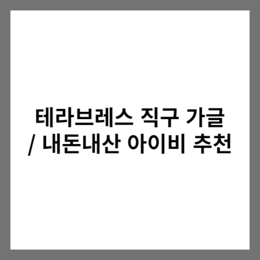 테라브레스 직구 가글 / 내돈내산 아이비 추천