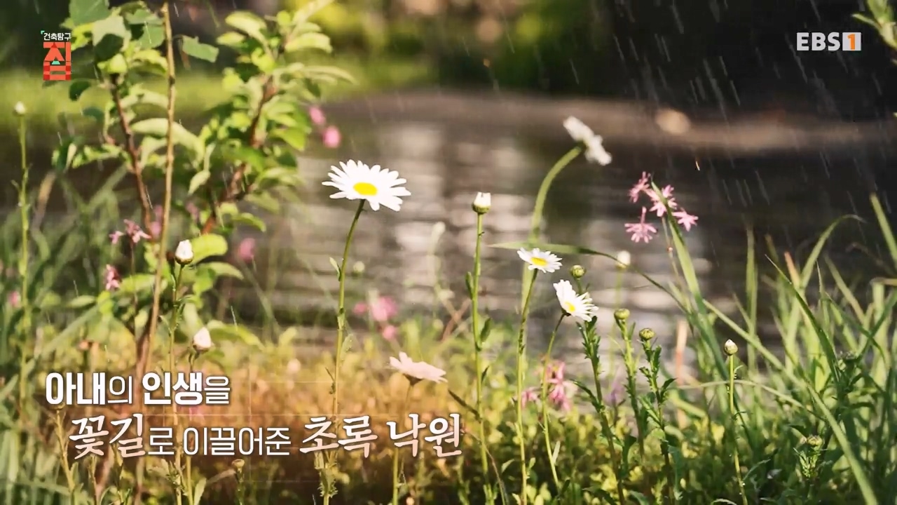 TV - 전 국민의 평생학교 EBS나를 살린 정원.mp4_20230814_205150.925.jpg