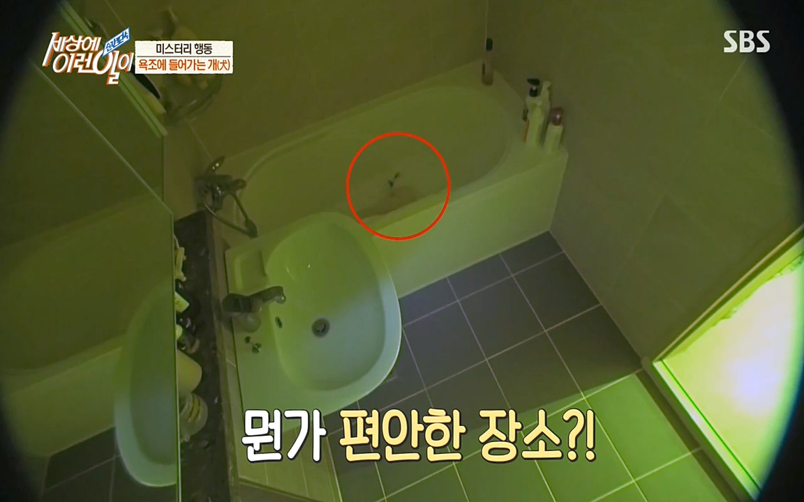 순간포착 세상에 이런일이.E1181.220525p-NEXT.mp4_20220525_202539.339.jpg