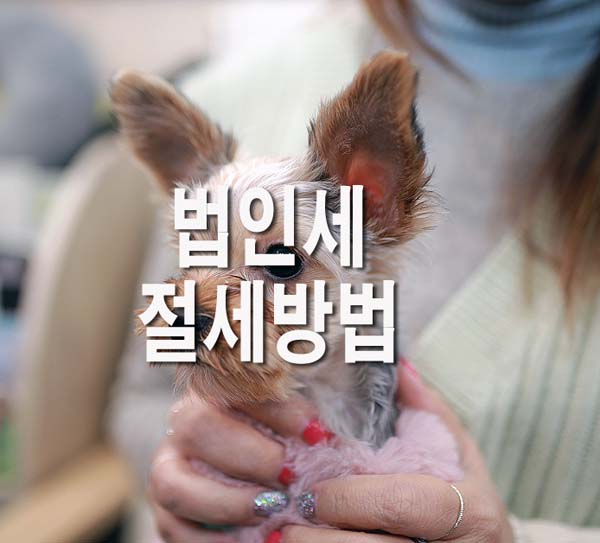  법인세 절세방법 7가지 알아봅니다