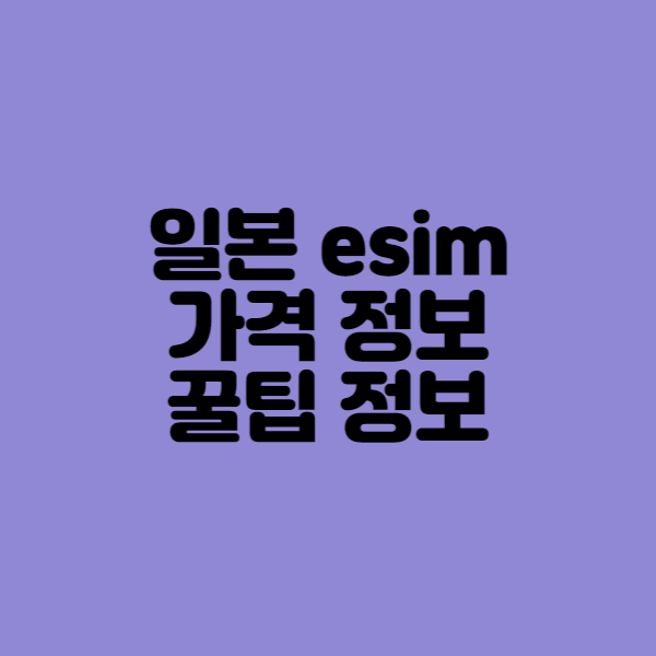 일본 esim 가격정보