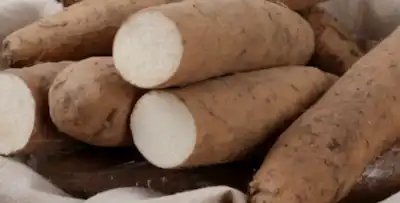 마 사진 3