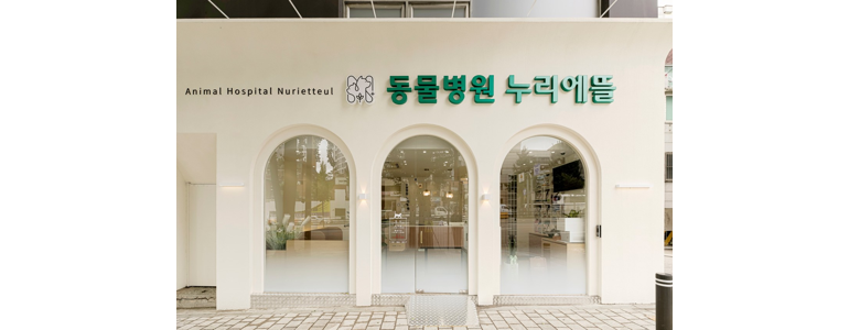 서울 마포구 동물병원