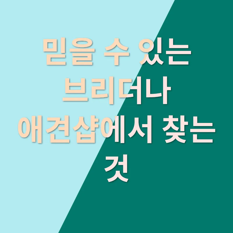 애도 장례업체 선택 기준_3_subsection