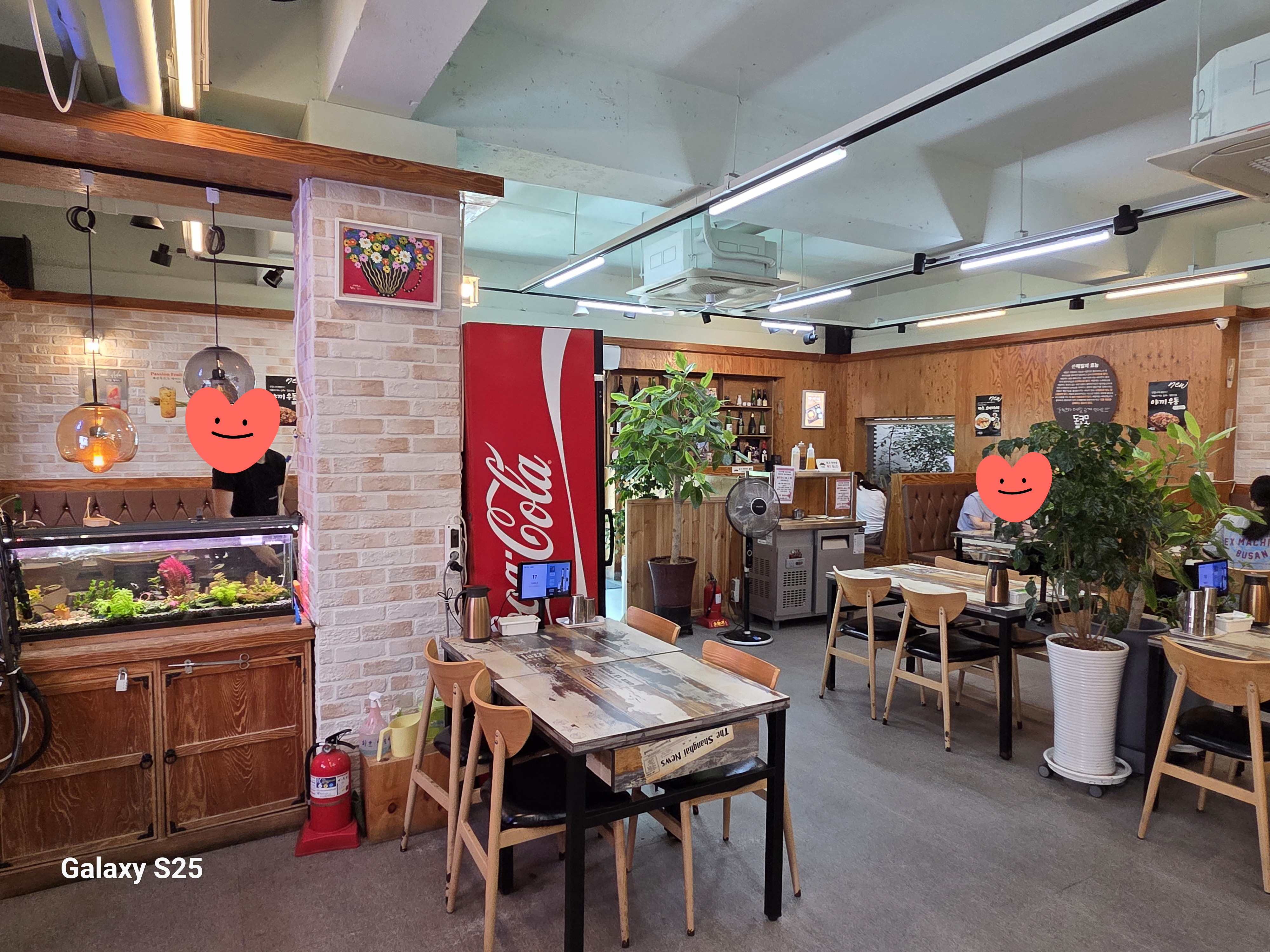 돈코모 사진 8