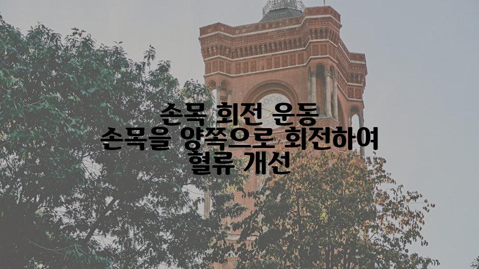 손목 회전 운동 손목을 양쪽으로 회전하여 혈류 개선