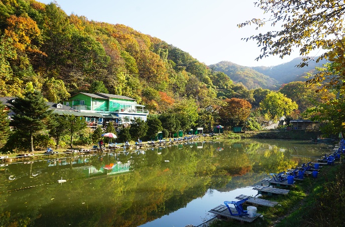  경기도 파주 비학산 낚시터 산책 등산 모두 즐기는 비학 농원 캠핑장 추천과 예약하는 방법
