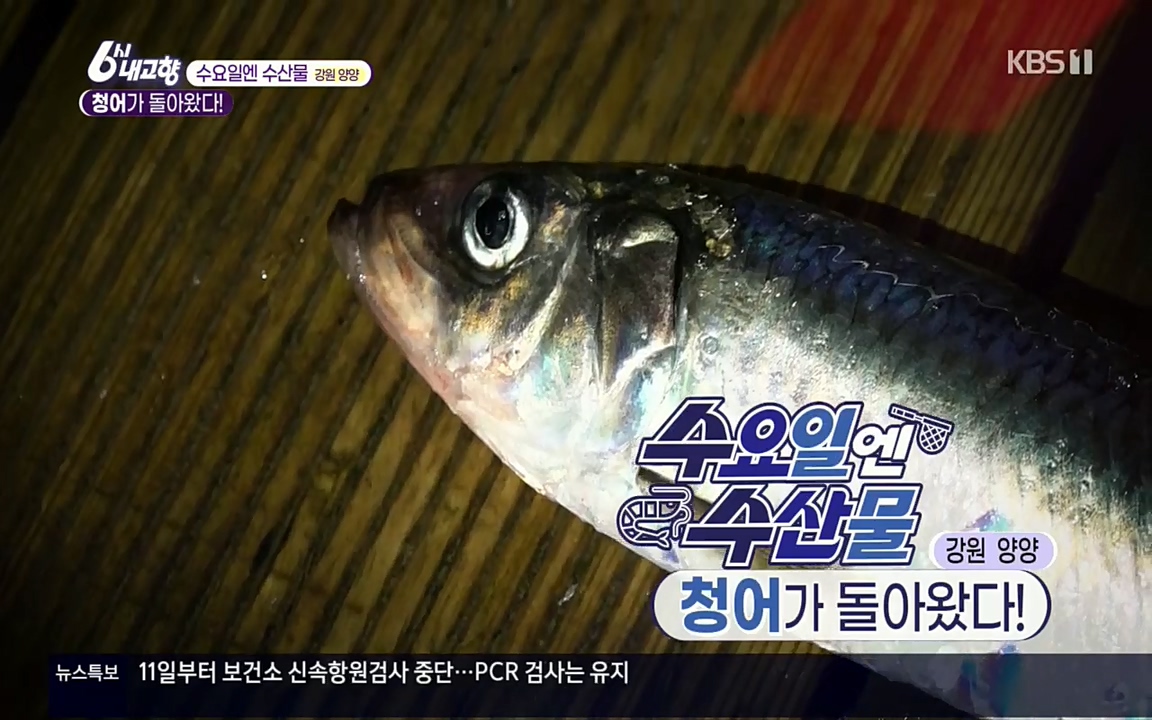 6시 내고향.E7505.220407p.H264-F1RST.mp4_20220411_174007.893.jpg