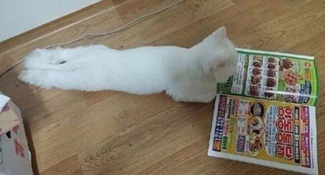  배달앱이 없던 시절ㅋㅋㅋㅋㅋㅋ